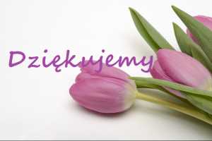 Obrazek przedstawia tulipany