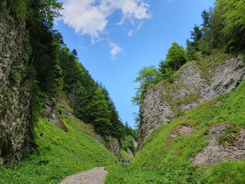 Zdjęcie przedstawia Wąwóz Szopczańskiego
