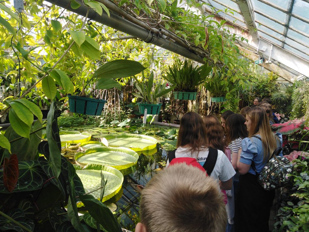 Zdjęcie przedstawia uczniów oglądających ogród botaniczny.