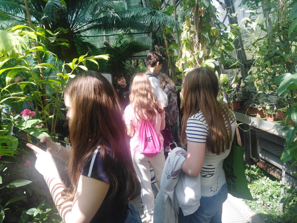Zdjęcie przedstawia uczniów oglądających ogród botaniczny.
