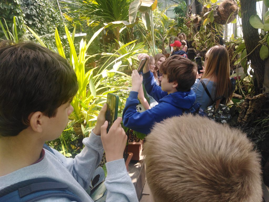 Zdjęcie przedstawia uczniów oglądających ogród botaniczny.