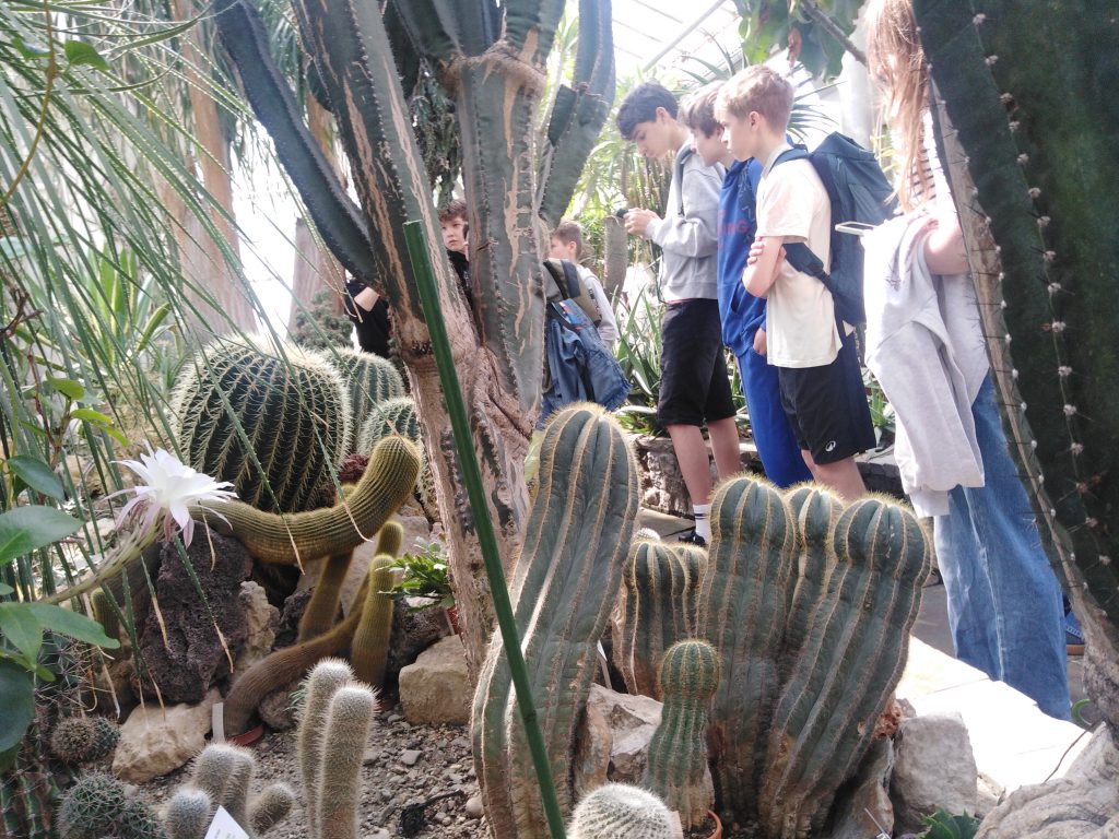 Zdjęcie przedstawia uczniów oglądających ogród botaniczny.
